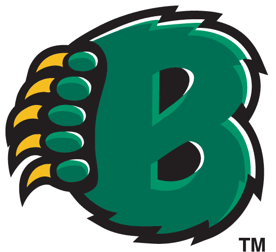 Baylor Bears 1997-2004 Alternate Logo v2 iron on transfers for fabric